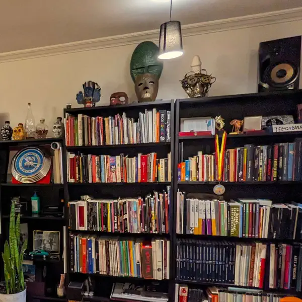 The Book Cover