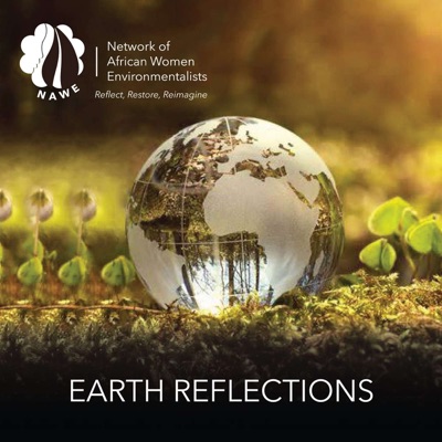 Earth Reflections