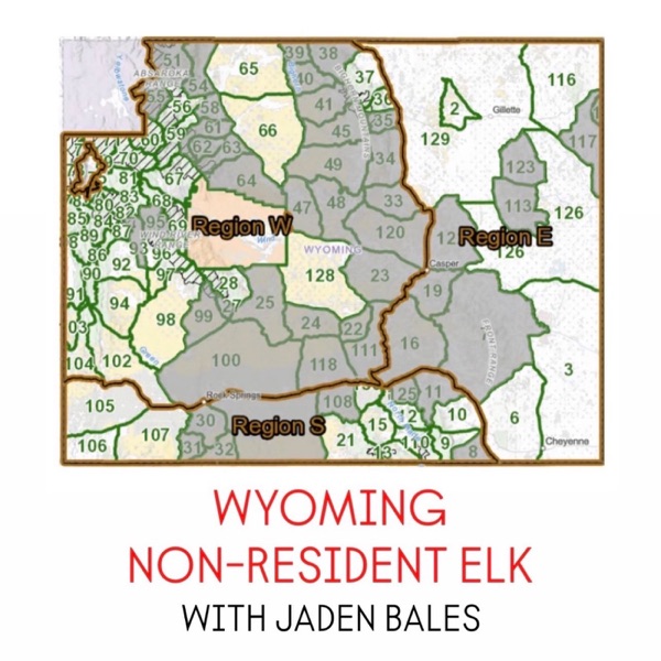Wyoming Elk Draw Breakdown for Non Residents - Jaden Bales photo