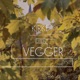 Kirke uten vegger