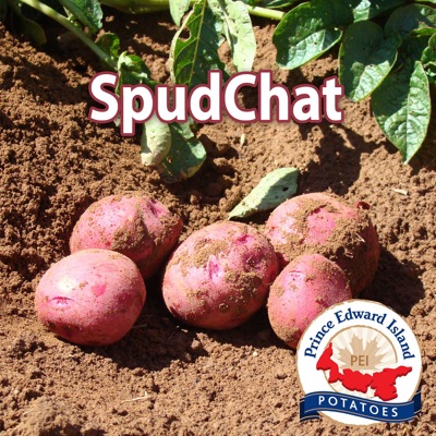 SpudChat