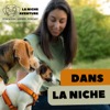 Dans La Niche