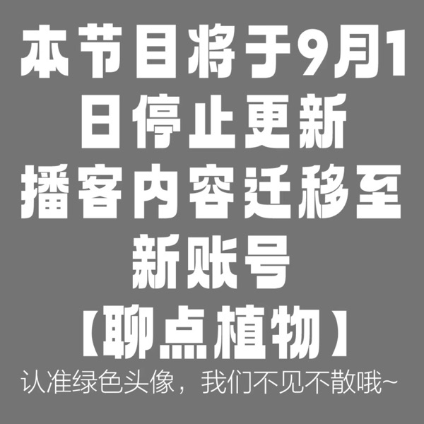 聊点er植物