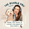 The Doodle Pro® Podcast: Positive Training Tips for a Calm & Well-Behaved Doodle - The Doodle Pro® – Corinne Gearhart, Certified Dog Trainer & Doodle Expert