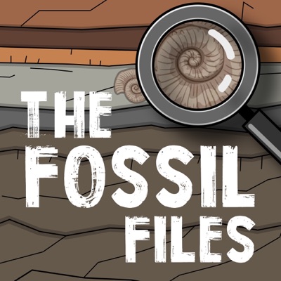 The Fossil Files The Fossil Files