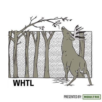 The WHTL Podcast - Whitetail Deer Hunting Tactics, Stories & Expert Guests The WHTL Podcast - Whitetail Deer Hunting Tactics, Stories & Expert Guests