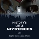 History's Little Mysteries