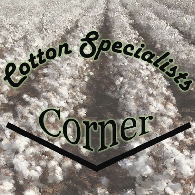 Cotton Specialists Corner Cotton Specialists Corner