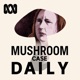 Mushroom Case Daily 