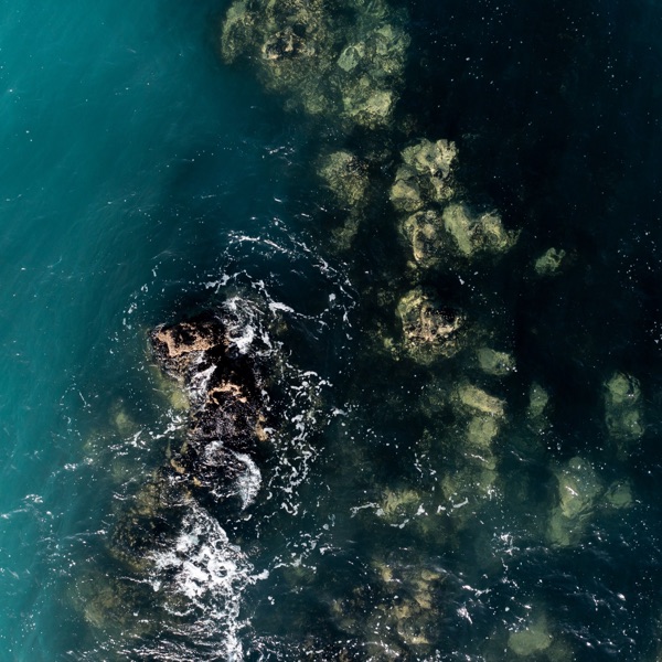 From Sea to Science: Natural Health with Aroma New Zealand