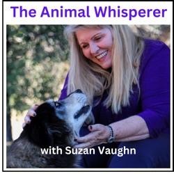 The Animal Whisperer with Suzan Vaughn: Animal Communication Stories
