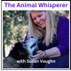 The Animal Whisperer with Suzan Vaughn: Animal Communication Stories