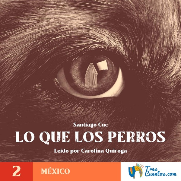 2 - Lo que los Perros Vieron - México - Suspenso photo