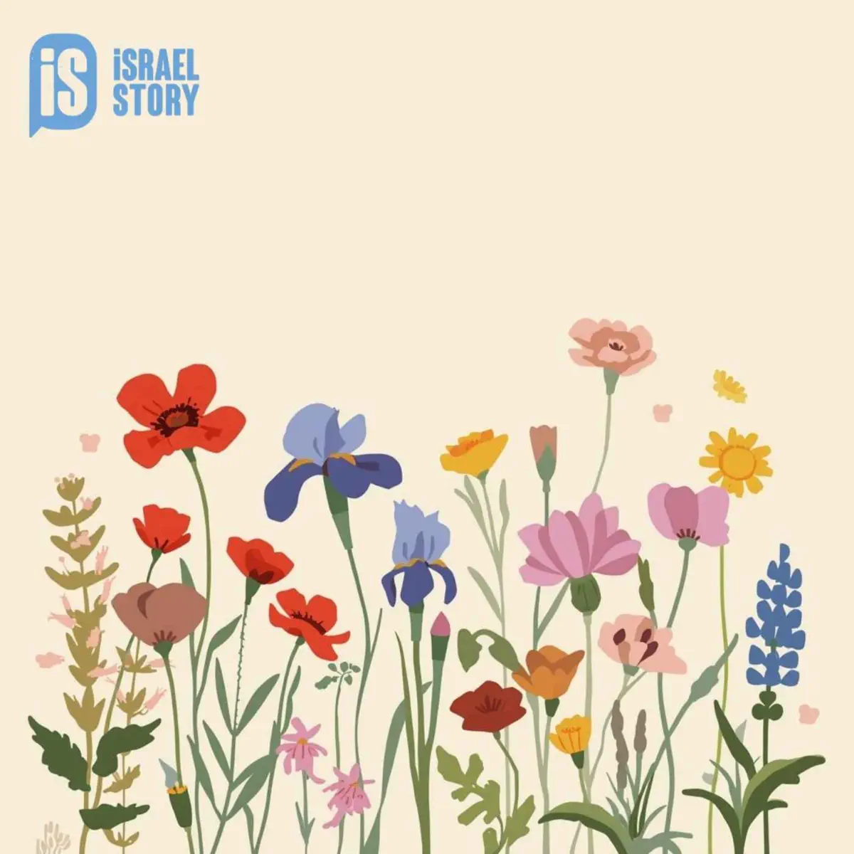 Torah \u0026 more… תורה ועוד | Rabbanit Michal Kohane * רבנית מיכל כהנא, image size:1200x1200