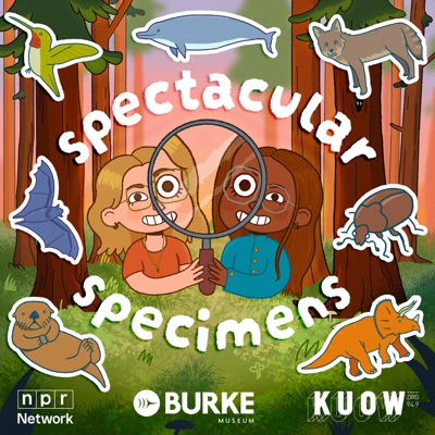 Spectacular Specimens:KUOW News and Information