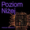 Poziom niżej