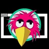 Logo of the podcast Chad the Birdcast