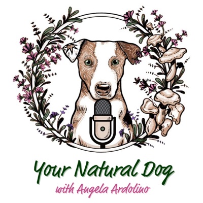 Your Natural Dog with Angela Ardolino - Formerly It's A Dog's Life:Angela Ardolino