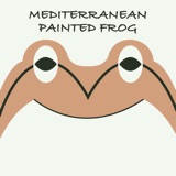 Mediterranean Painted Frog | Week of February 19th