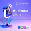 AUDITORÍA AL DÍA - TN University