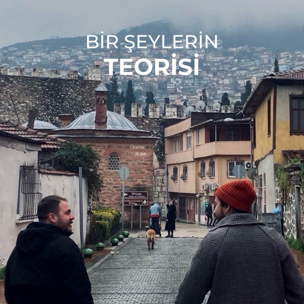 Bir Şeylerin Teorisi