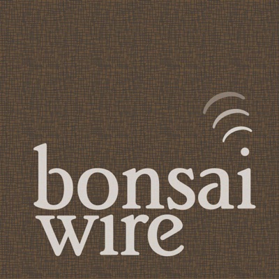 Bonsai Wire Bonsai Wire