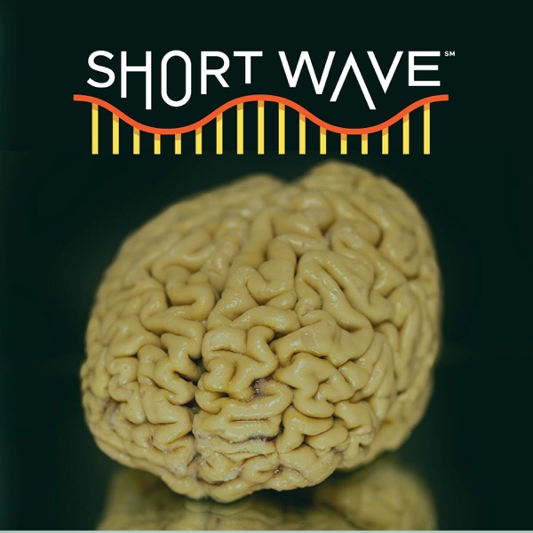 Why Do Some 80 Year-Olds Have Extraordinary Memories?