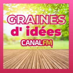 Graines d'idées