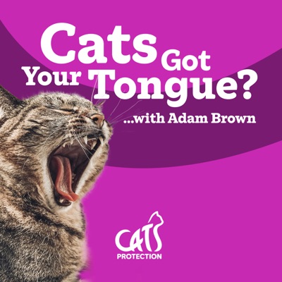 Cats Got Your Tongue? Cats Got Your Tongue?