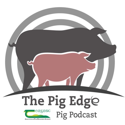 The Pig Edge:The Pig Edge