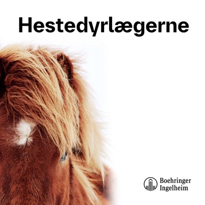 Hestedyrlægerne