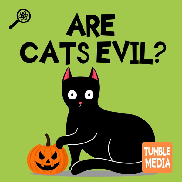 Are Cats Evil? photo