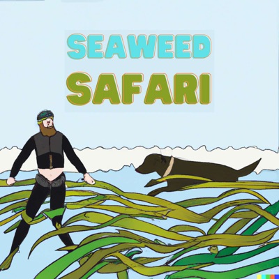 Seaweed Safari