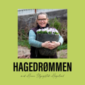 Hagedrømmen