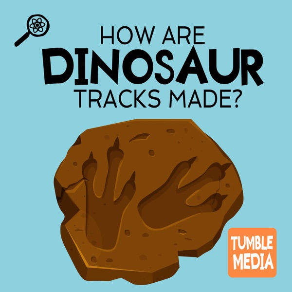 How were dinosaur tracks made? photo