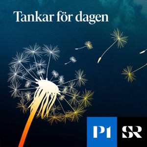 Tankar för dagen