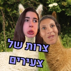 צרות של צעירים