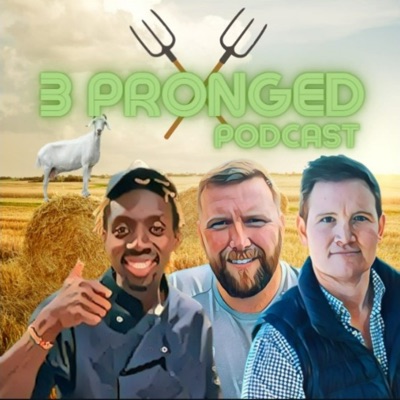 3 pronged 3 pronged