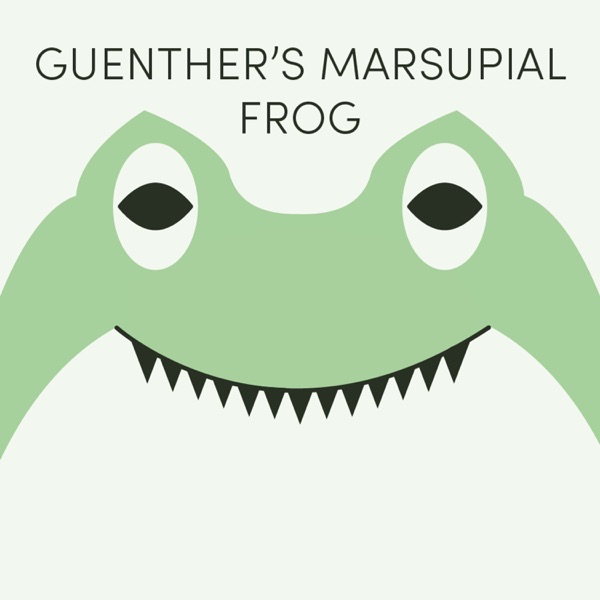 Guenther's Marsupial Frog | Week of September 16th photo