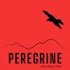 Peregrine
