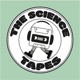 Why are Zebras Striped? The Secrets of Camouflage with Dr Laszlo Talas