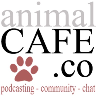 Animal Cafe