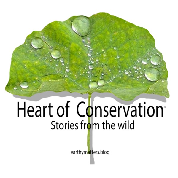 Heart of Conservation