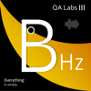 BeeHertz - QA Labs 2025© | Leo and Luna