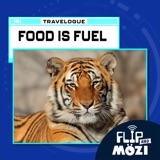 Travelpod: Food Is Fuel