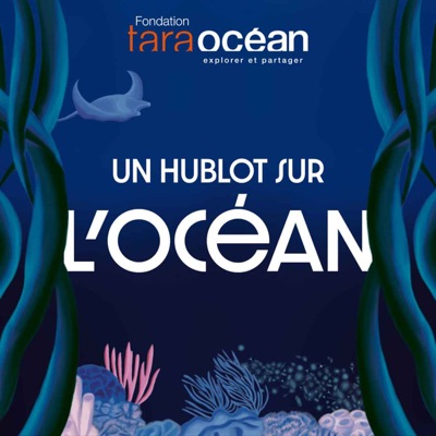 Un hublot sur l'Océan - Fondation Tara Océan Un hublot sur l'Océan - Fondation Tara Océan