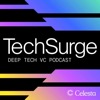 TechSurge: Deep Tech VC Podcast