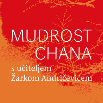 Mudrost chana