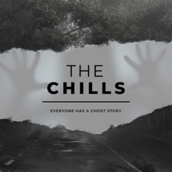 Introducing - The Chills