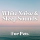 White Noise and Sleep Sounds (For Pets)